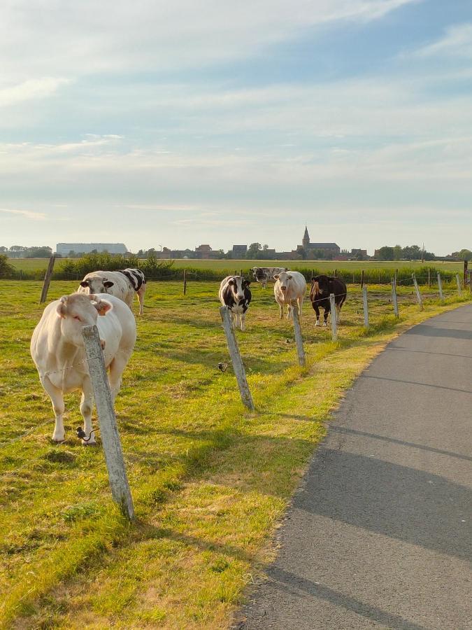 Gastenverblijf Hof Moye Tyt Middelkerke Exterior foto